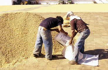 Image showing LATIN AMERICA GUATEMALA CHICHI