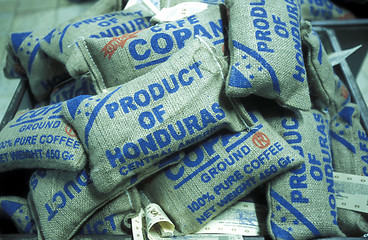 Image showing LATIN AMERICA HONDURAS COPAN