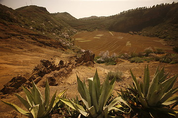 Image showing EUROPE SPIAN GRAN CANARY 