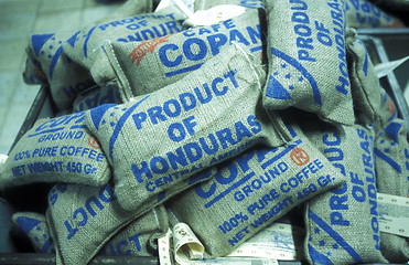 Image showing LATIN AMERICA HONDURAS COPAN