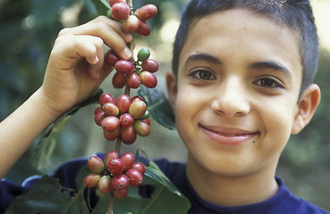 Image showing LATIN AMERICA HONDURAS COPAN