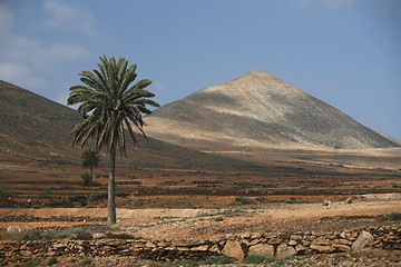 Image showing EUROPE CANARY ISLANDS FUERTEVENTURA