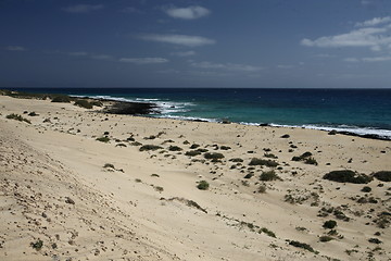 Image showing EUROPE CANARY ISLANDS FUERTEVENTURA