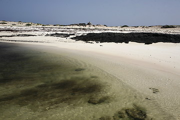 Image showing EUROPE CANARY ISLANDS FUERTEVENTURA