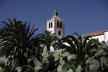 Image showing EUROPE CANARY ISLANDS FUERTEVENTURA