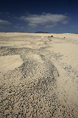 Image showing EUROPE CANARY ISLANDS FUERTEVENTURA