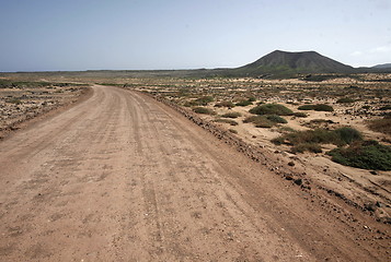 Image showing EUROPE CANARY ISLANDS FUERTEVENTURA