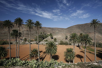 Image showing EUROPE CANARY ISLANDS FUERTEVENTURA