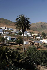 Image showing EUROPE CANARY ISLANDS FUERTEVENTURA