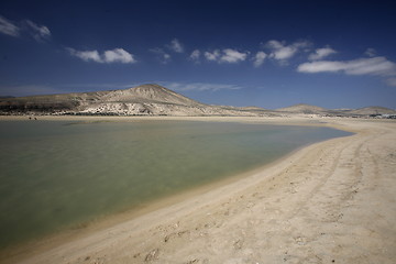 Image showing EUROPE CANARY ISLANDS FUERTEVENTURA