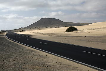 Image showing EUROPE CANARY ISLANDS FUERTEVENTURA