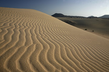 Image showing EUROPE CANARY ISLANDS FUERTEVENTURA