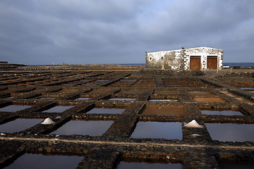 Image showing EUROPE CANARY ISLANDS FUERTEVENTURA