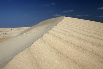 Image showing EUROPE CANARY ISLANDS FUERTEVENTURA