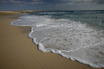 Image showing EUROPE CANARY ISLANDS FUERTEVENTURA