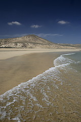 Image showing EUROPE CANARY ISLANDS FUERTEVENTURA