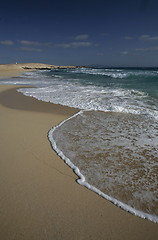 Image showing EUROPE CANARY ISLANDS FUERTEVENTURA