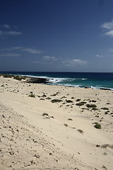 Image showing EUROPE CANARY ISLANDS FUERTEVENTURA