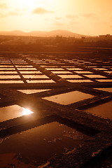 Image showing EUROPE CANARY ISLANDS FUERTEVENTURA