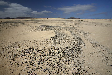 Image showing EUROPE CANARY ISLANDS FUERTEVENTURA