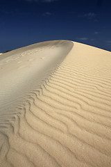 Image showing EUROPE CANARY ISLANDS FUERTEVENTURA