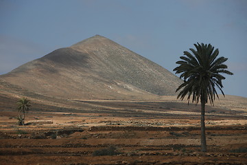 Image showing EUROPE CANARY ISLANDS FUERTEVENTURA