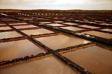 Image showing EUROPE CANARY ISLANDS FUERTEVENTURA