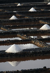 Image showing EUROPE CANARY ISLANDS FUERTEVENTURA