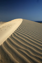 Image showing EUROPE CANARY ISLANDS FUERTEVENTURA