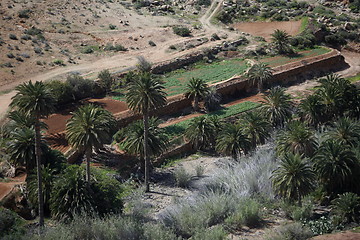 Image showing EUROPE CANARY ISLANDS FUERTEVENTURA