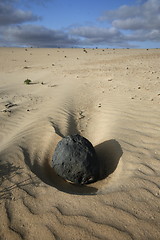 Image showing EUROPE CANARY ISLANDS FUERTEVENTURA