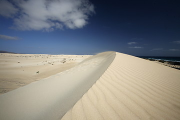 Image showing EUROPE CANARY ISLANDS FUERTEVENTURA