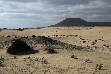 Image showing EUROPE CANARY ISLANDS FUERTEVENTURA