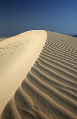 Image showing EUROPE CANARY ISLANDS FUERTEVENTURA