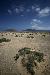 Image showing EUROPE CANARY ISLANDS FUERTEVENTURA