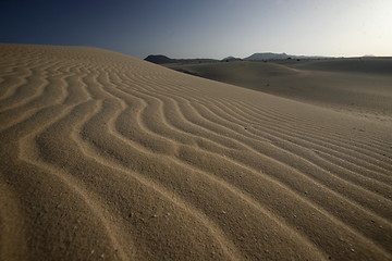 Image showing EUROPE CANARY ISLANDS FUERTEVENTURA