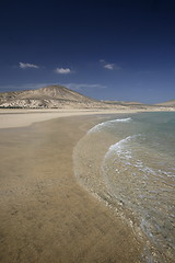 Image showing EUROPE CANARY ISLANDS FUERTEVENTURA