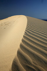 Image showing EUROPE CANARY ISLANDS FUERTEVENTURA