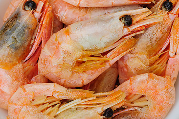 Image showing Prepared shrimps macro