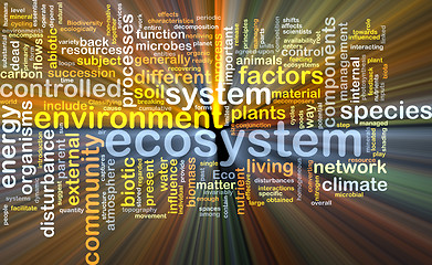 Image showing ecosystem wordcloud concept illustration glowing