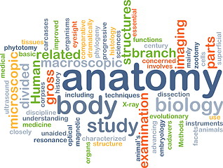 Image showing anatomy wordcloud concept illustration