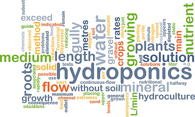 Image showing hydroponics wordcloud concept illustration