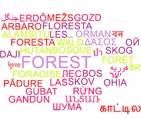 Image showing Forest multilanguage wordcloud background concept