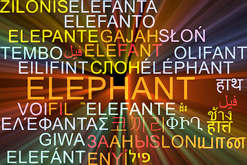 Image showing Elephant multilanguage wordcloud background concept glowing