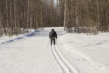 Image showing Healthy lifestyle