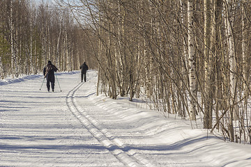 Image showing Healthy lifestyle