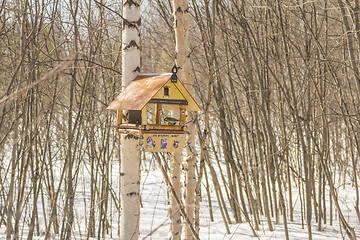 Image showing Feeders for birds   