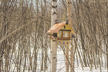 Image showing Feeders for birds   