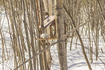 Image showing Feeders for birds   