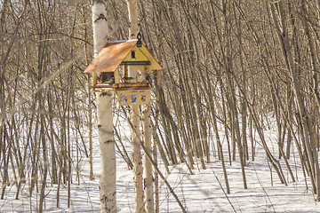 Image showing Feeders for birds   